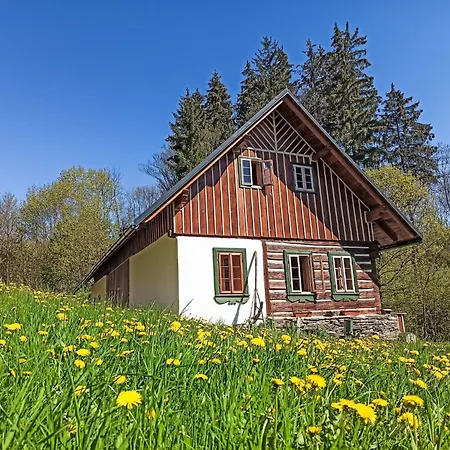 U Kaziku By Interhome Vysoke nad Jizerou